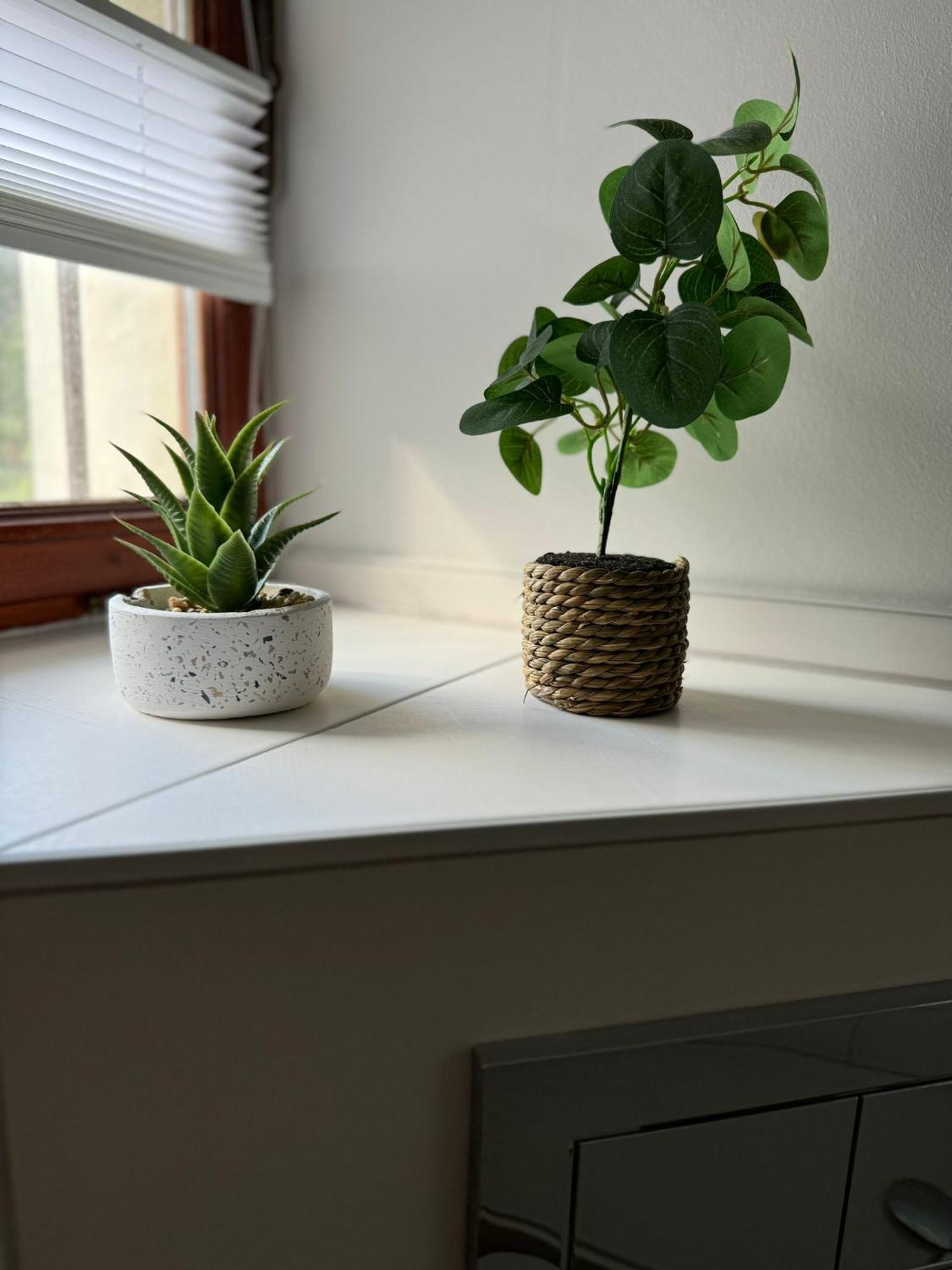 Ferienwohnung Neue Quickbox 塔勒 外观 照片